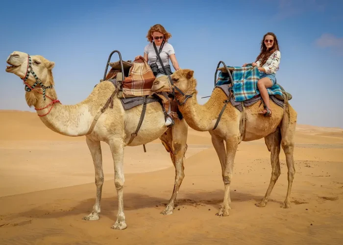 camel, desert, namib desert, blue skies, namibians, camel rides, nature, tourism, dune, brown desert