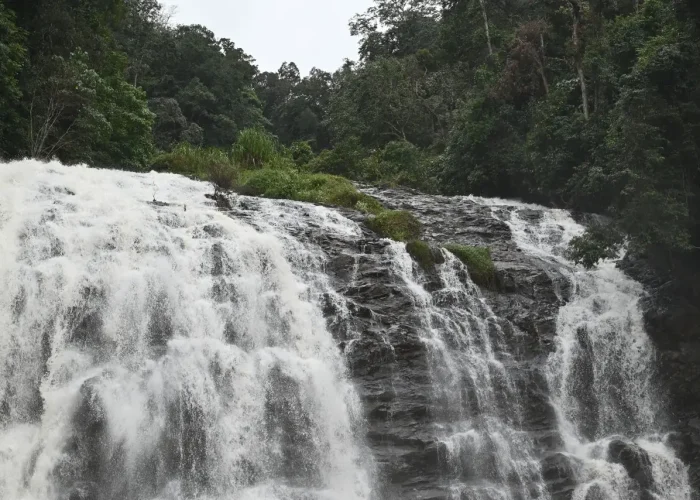 A breathtaking view of Abbey Falls cascading through lush greenery in Madikeri, India.